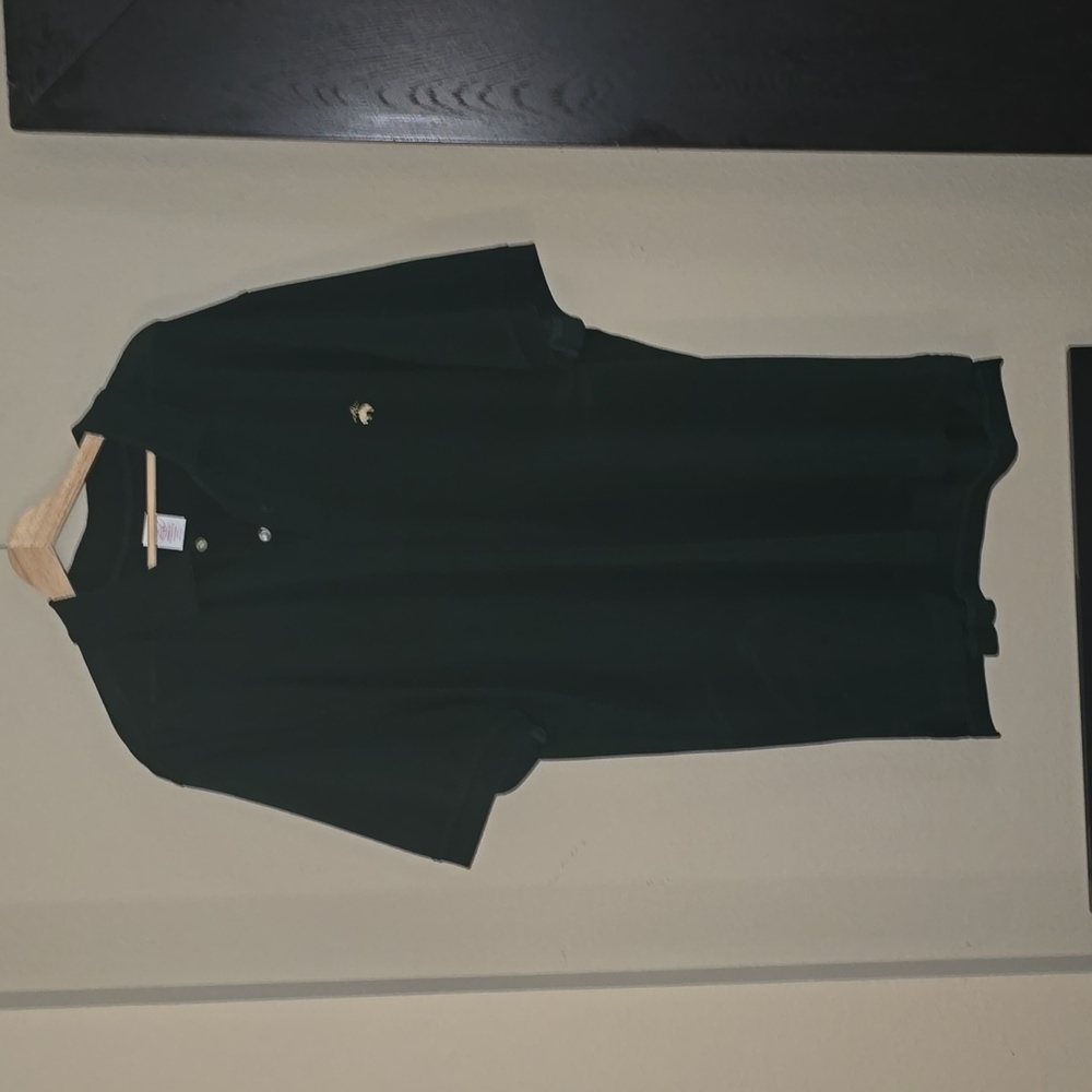 Men's Brooks Brothers Polo Green XXL mint